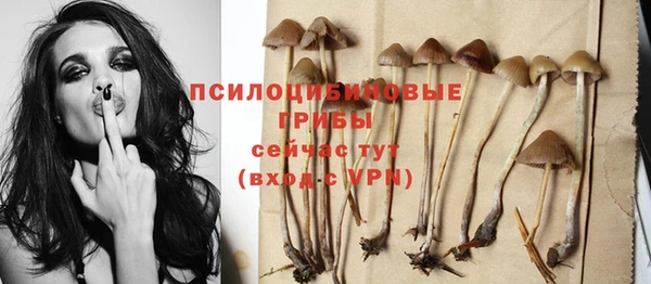 экстази Касимов