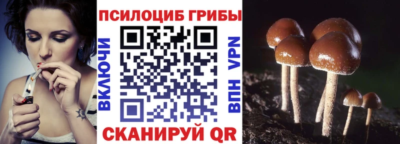 Псилоцибиновые грибы прущие грибы  omg сайт  Кингисепп 