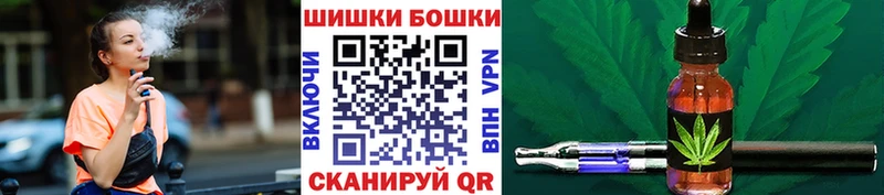 даркнет сайт Кингисепп Конопля планчик